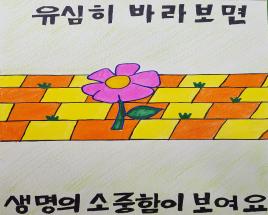 사진9