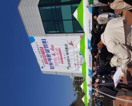 사진8